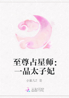 至尊占星师：一品太子妃