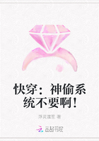 快穿：神偷系统不要啊！