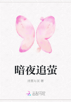 暗夜追萤