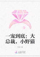 一宠到底：大总裁，小野猫