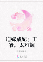 迫嫁成妃：王爷，太难缠