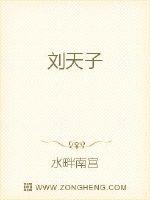 刘天子
