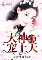 甜妻蜜爱：大神，宠上天！