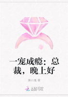 一宠成瘾：总裁，晚上好