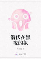 潜伏在黑夜的象