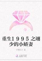 重生1995之翊少的小娇妻