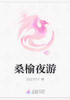 桑榆夜游