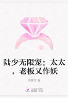 陆少无限宠：太太，老板又作妖