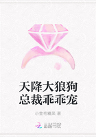 天降大狼狗总裁乖乖宠