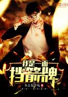 我是一面挡箭牌