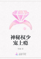 神秘权少宠上瘾