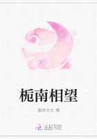 栀南相望