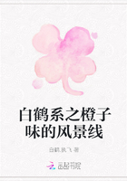 白鹤系之橙子味的风景线