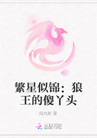 繁星似锦：狼王的傻丫头