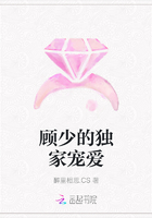 顾少的独家宠爱