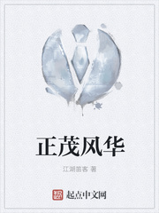 正茂风华