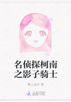 名侦探柯南之影子骑士