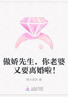 傲娇先生，你老婆又要离婚啦！