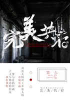 完美共存
