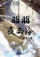 昭昭夜雨泠