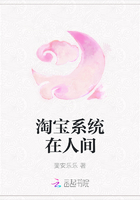 淘宝系统在人间