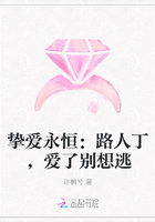 挚爱永恒：路人丁，爱了别想逃