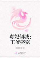 毒妃倾城：王爷盛宠