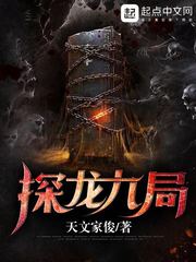 探龙九局