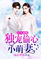 日久成婚：独宠偷心小萌妻
