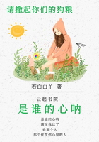 是谁的心呐