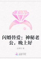 闪婚替爱：神秘老公，晚上好