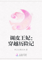 调皮王妃：穿越历险记