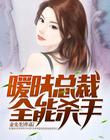 暧昧总裁全能杀手