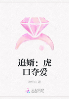 追婿：虎口夺爱