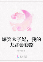 爆笑太子妃，我的夫君会套路