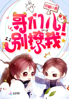 哥们儿！别撩我