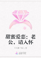 甜蜜爱恋：老公，请入怀