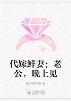 代嫁鲜妻：老公，晚上见