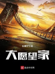 大愿望家