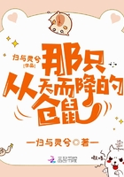那只从天而降的仓鼠