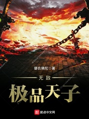 无敌极品天子