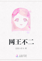 网王不二