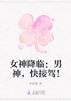女神降临：男神，快接驾！