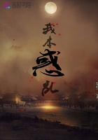 穿越奇情之惑乱