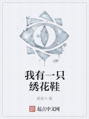 我有一只绣花鞋