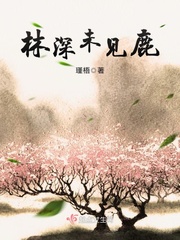 林深未见鹿
