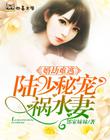 婚劫难逃：陆少秘宠祸水妻
