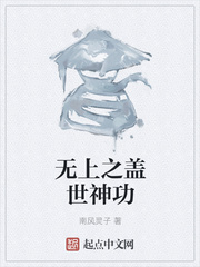 无上之盖世神功