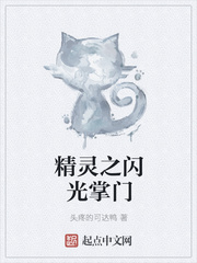 精灵之闪光掌门
