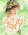 高冷老公，求放手！
